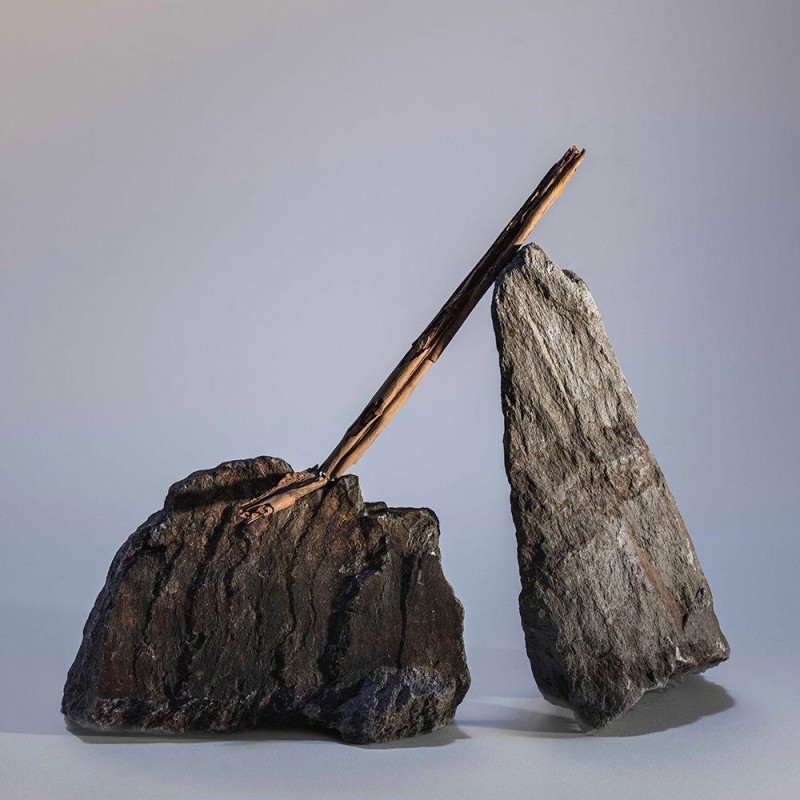 Adolfo Dominguez Ámbar Negro Eau De Parfum 120Ml