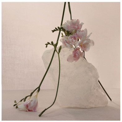 Nude Musk Eau De Parfum Vaporizador 120 Ml