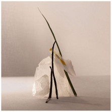 Terracota Musk Eau De Parfum Vaporizador 60 Ml