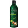 Naturalium Super Food Argan Oil Nutritive Shampoo 400Ml