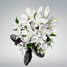 Carolina Herrera Good Girl Gel Douche 200Ml