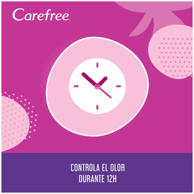 Carefree Plus Large Protector Fragancia Ligera 48 U