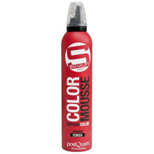 Vida Postquam Espuma Color Ceniza 300Ml