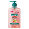Sanytol Antibacterias Jabón Manos Cocina Dosificador 250Ml Sanytol Antibacterias Jabón Manos Cocina Dosificador 250Ml