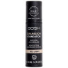 Chameleon Foundation Natural Coverage 001-Light