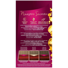 Schwarzkopf Palette Intensive Tinte N6.88 Rojo Rubí 1Ud