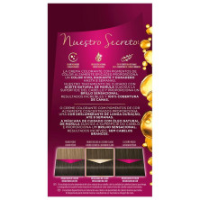 Schwarzkopf Palette Intensive Tinte 4 Castaño Intenso 1Ud