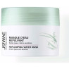 Replumping Water Mask 50 Ml