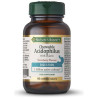 Acidophilus 60 Cápsulas Masticables Fresa
