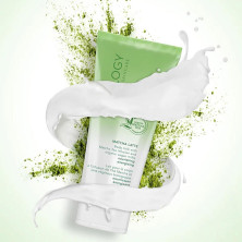 Teaology Matcha Latte Body Milk 200Ml