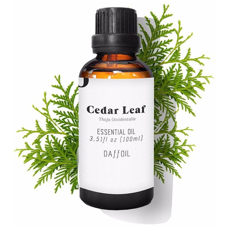 Daffoil Cedar Leaf Essential Oil 100Ml