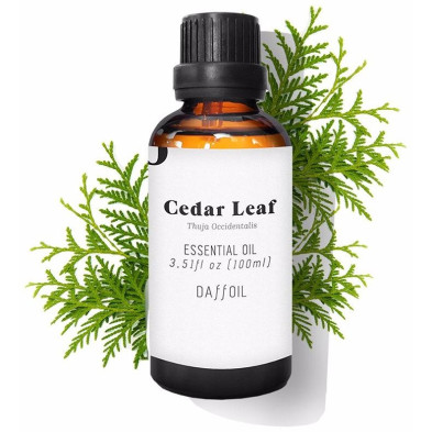 Daffoil Cedar Leaf Essential Oil 100Ml
