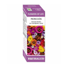 Flowers Of Life Proteccion 15ml