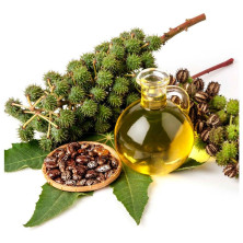 Biovene Castor Oil Hair Skin Y Body Nourishment 30Ml