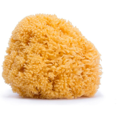 Esponja Natural Para Baño