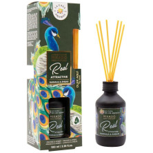 La Casa De Los Aromas Mikado Ambientador Real Attractive 100Ml