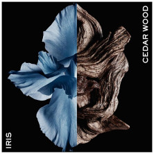 Gentleman Eau De Toilette Intense Vaporizador 60 Ml