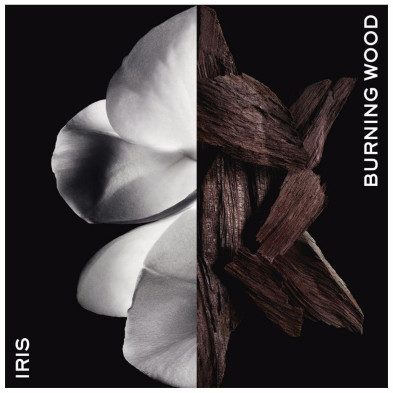 Gentleman Boisée Eau De Parfum Vaporizador 60 Ml