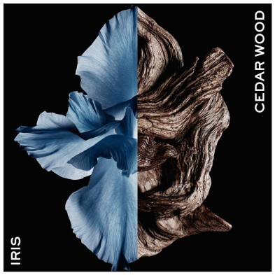 Gentleman Eau De Toilette Intense Vaporizador 100 Ml