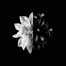 L'Interdit Eau De Toilette Vaporizador 50 Ml