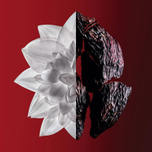 L’Interdit Rouge Ultime Edp Vapo 80 Ml