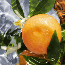 Aqua Allegoria Pamplelune Eau De Toilette Vaporizador 125 Ml