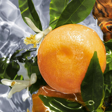 Aqua Allegoria Pamplelune Eau De Toilette Vaporizador 125 Ml