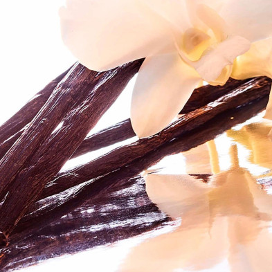 Mon Guerlain Eau De Parfum Intense Vaporizador 30 Ml