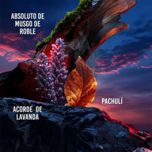 Drakkar Noir Eau De Toilette Vaporizador 100 Ml