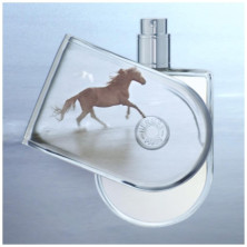 Voyage D'Hermès Eau De Toilette Vaporizador 100 Ml