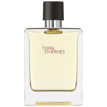 Hermes Paris Terre D'Hermes Eau De Toilette 100Ml