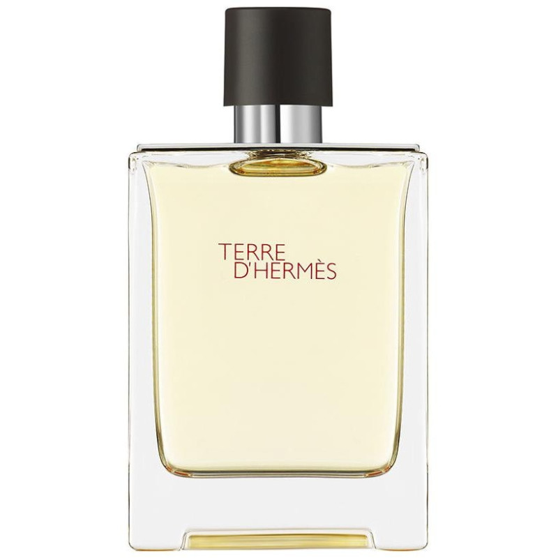 Hermes Paris Terre D'Hermes Eau De Toilette 100Ml
