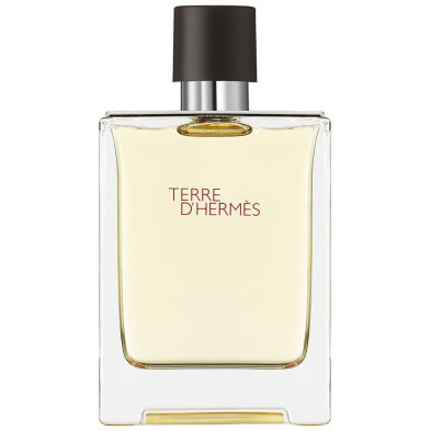 Hermes Paris Terre D'Hermes Eau De Toilette 100Ml