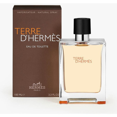 Hermes Paris Terre D'Hermes Eau De Toilette 100Ml