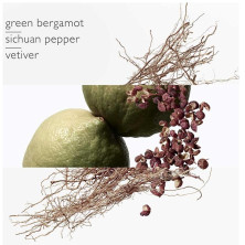 Terre D'Hermès Eau Intense Vétiver Eau De Parfum Vaporizador 100 Ml