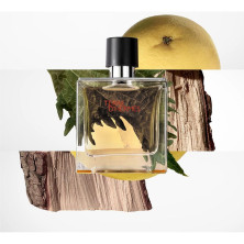 Terre D'Hermès Parfum Vaporizador 75 Ml