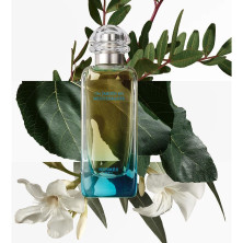 Hermes Paris Un Jardin En Mediterranee Eau De Toilette 50Ml Vapo