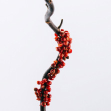 Loewe 7 Eau De Toilette Vaporizador 150 Ml