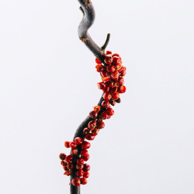 Loewe 7 Eau De Toilette Vaporizador 50 Ml