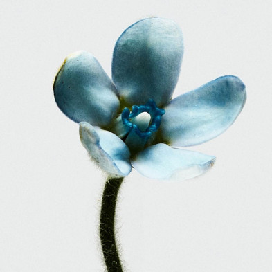 Loewe 001 Woman Eau De Toilette Vaporizador 100 Ml