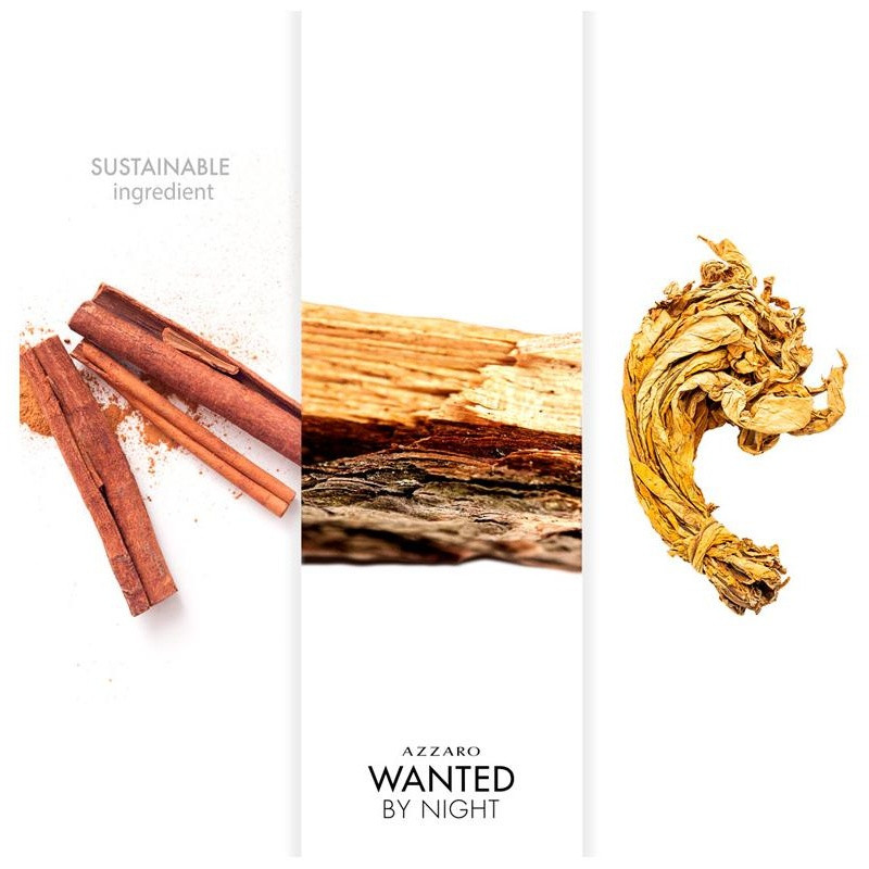 Wanted By Night Eau De Parfum Vaporizador 100 Ml Wanted By Night Eau De Parfum Vaporizador 100 Ml