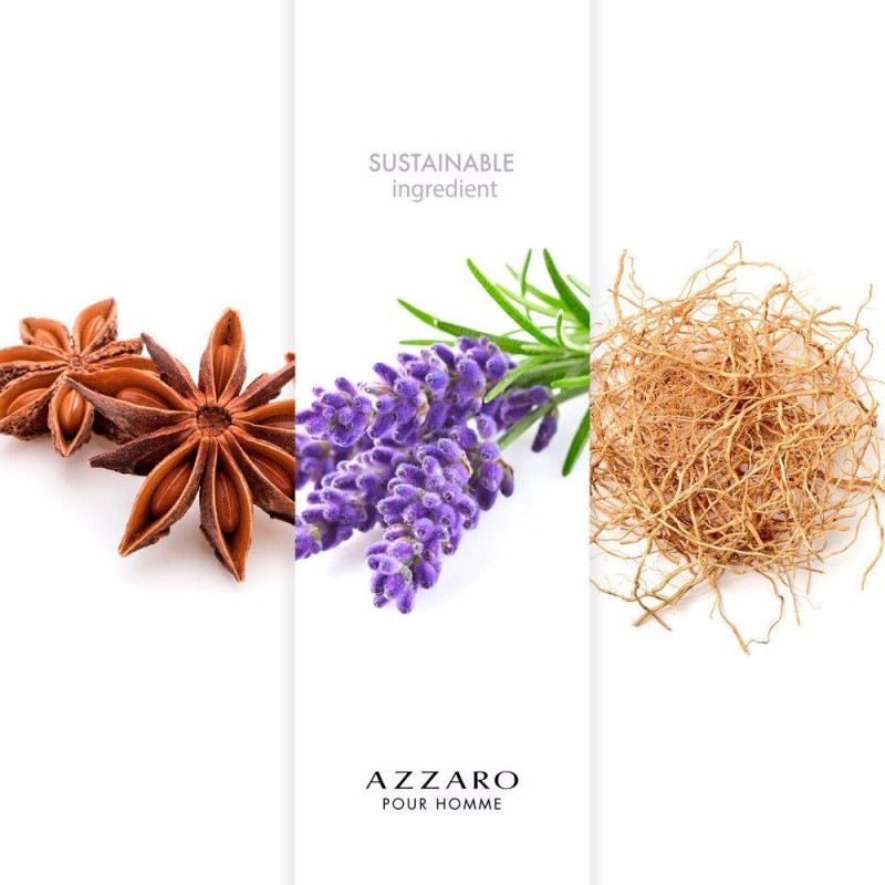 Azzaro Pour Homme Eau De Toilette Vaporizador 100 Ml Azzaro Pour Homme Eau De Toilette Vaporizador 100 Ml