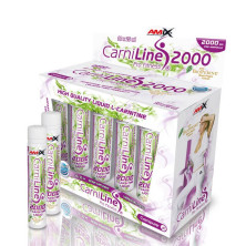 Carniline 2000mg Profitnes 10px25ml - Amix