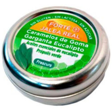 Forté Pharma Forté Caramelos Goma Eucalipto 45 Caramelos