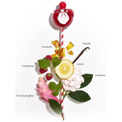 Nina Rouge Eau De Toilette Vaporizador 80 Ml