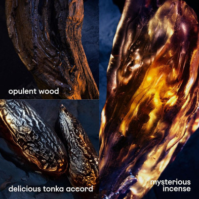 Invictus Victory Elixir Parfum Intense Edp Vapo 50 Ml