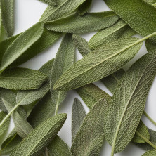 Polo Blue Eau De Toilette Vaporizador 200 Ml