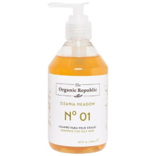 The Organic Republic Champú Para Pelo Graso 250Ml
