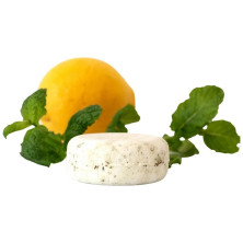 The Organic Republic Champú Sólido Pelo Graso 70G