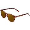 Northweek Wall Tortoise Polarized 1Ud